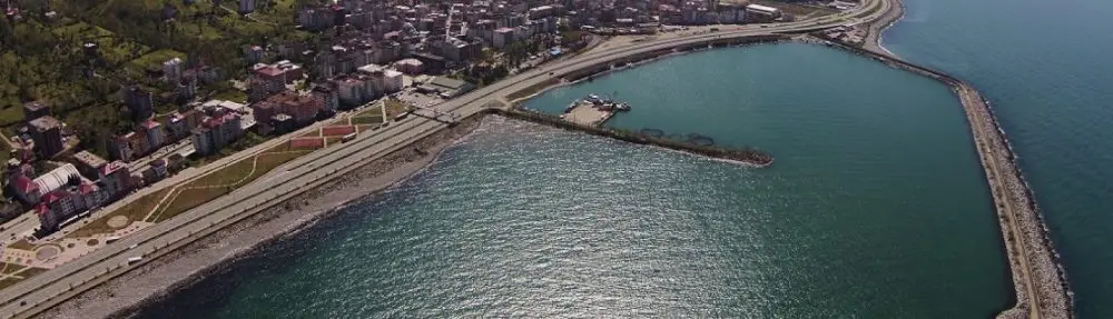 PROF. DR. ALİ SAİT ALBAYRAK / RİZE T.C. Recep Tayyip Erdoğan Üniversitesi