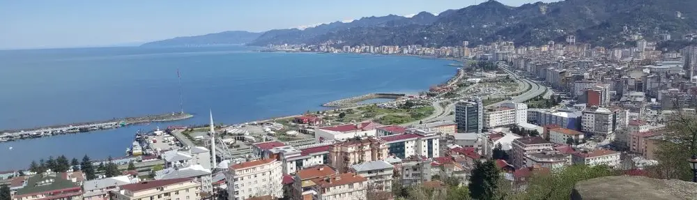 PROF. DR. ALİ SAİT ALBAYRAK / RİZE T.C. Recep Tayyip Erdoğan Üniversitesi